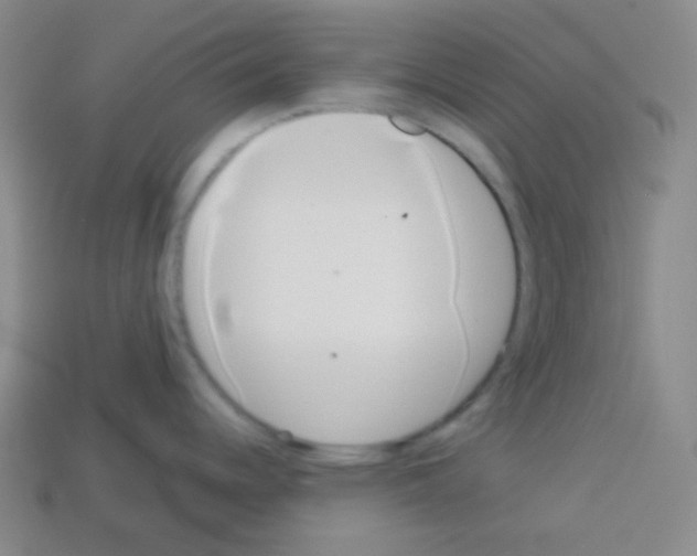 X0000113041344200910081203