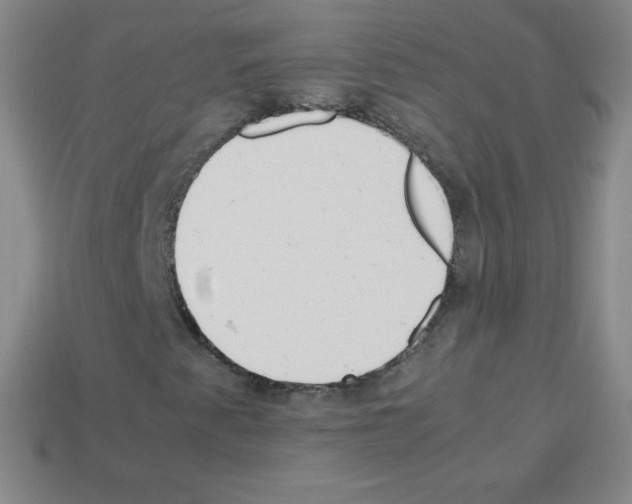 X0000113041345200910081203