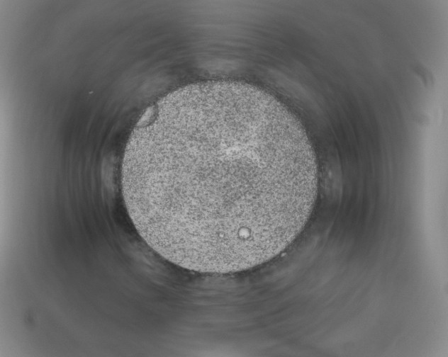 X0000113041346200910081203