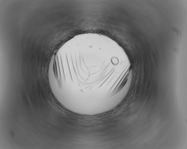 X0000113041348200910081203