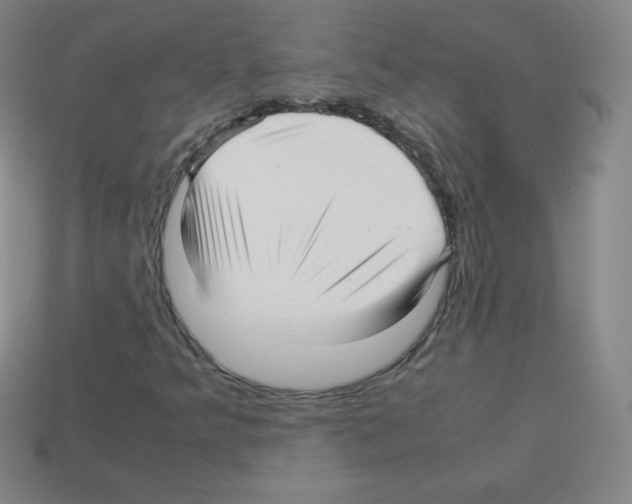 X0000113041349200910081203