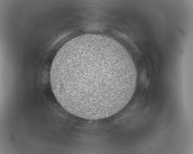 X0000113041350200910081203