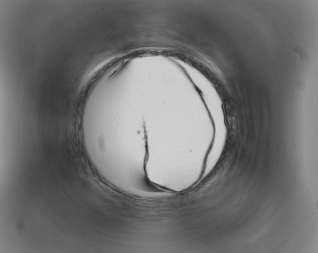 X0000113041352200910081203