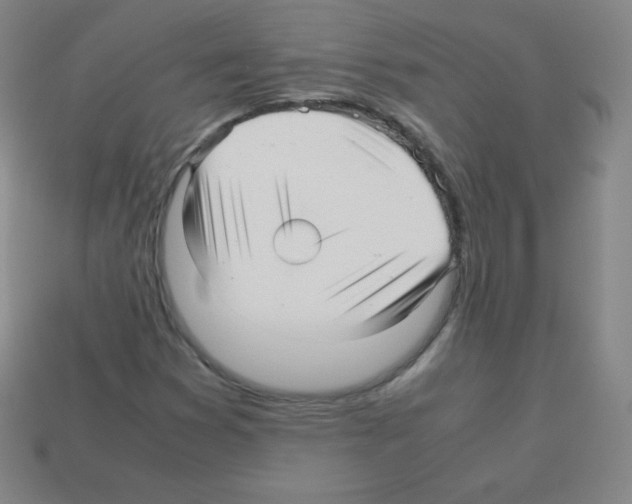 X0000113041353200910081202