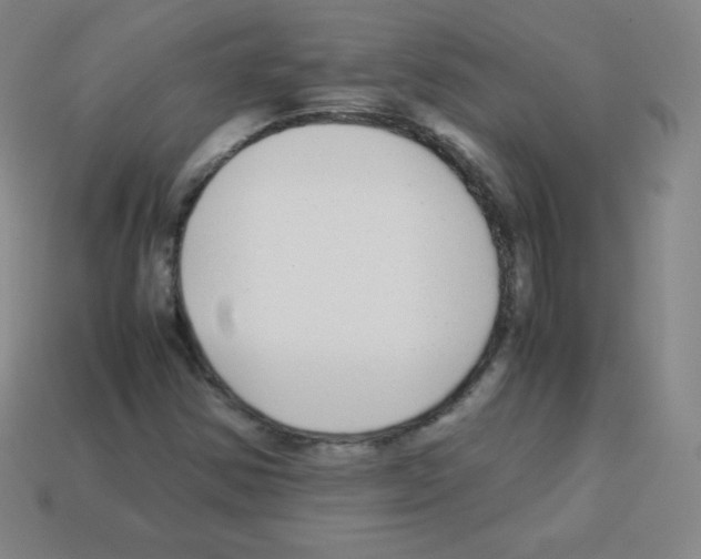 X0000113041354200910081202