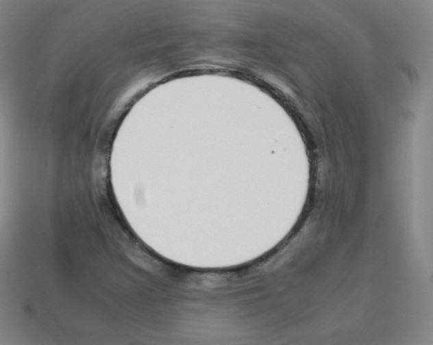 X0000113041355200910081202