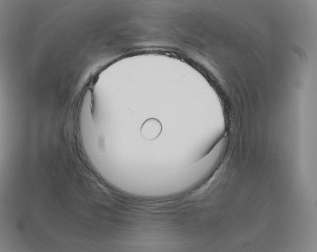 X0000113041357200910081202