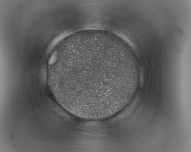 X0000113041358200910081202