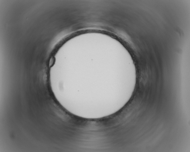 X0000113041360200910081202