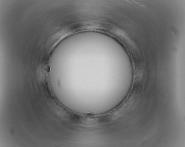 X0000113041361200910081202