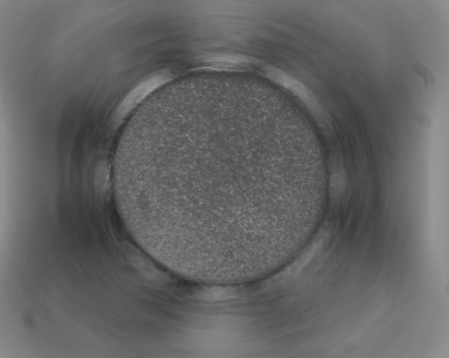 X0000113041362200910081202