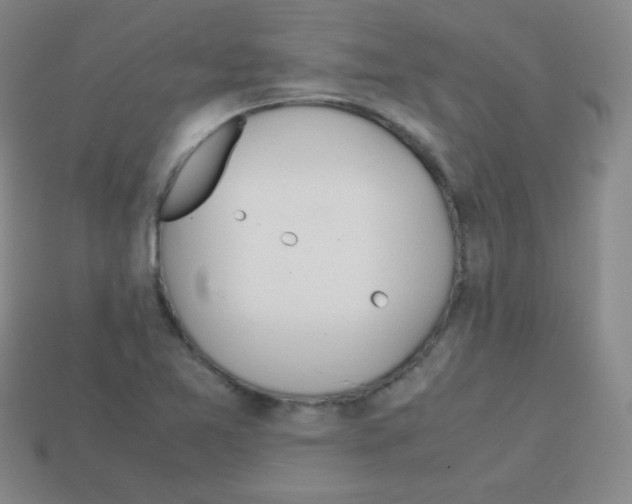 X0000113041365200910081202
