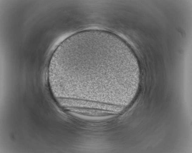 X0000113041367200910081202