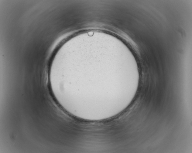 X0000113041368200910081202