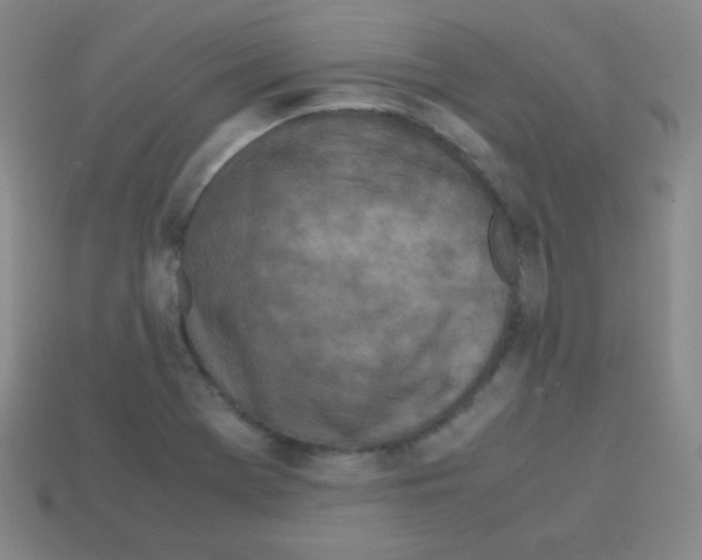 X0000113041369200910081202