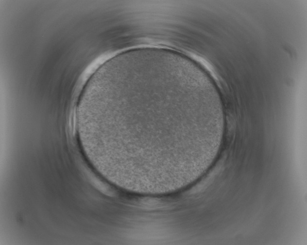 X0000113041371200910081202