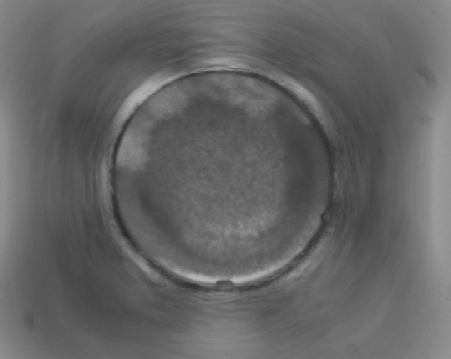 X0000113041373200910081202