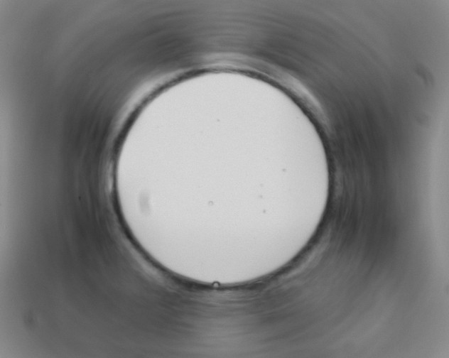 X0000113041376200910081202