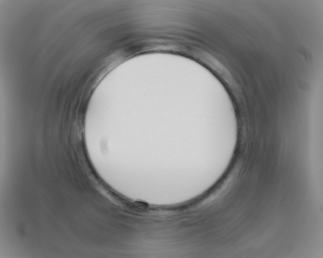 X0000113041377200910081202