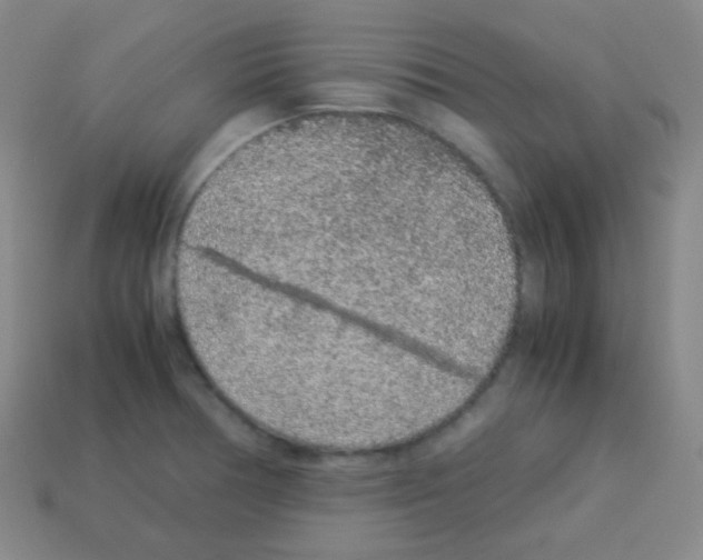 X0000113041378200910081202