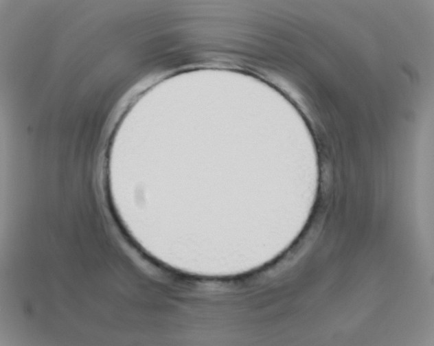 X0000113041379200910081202
