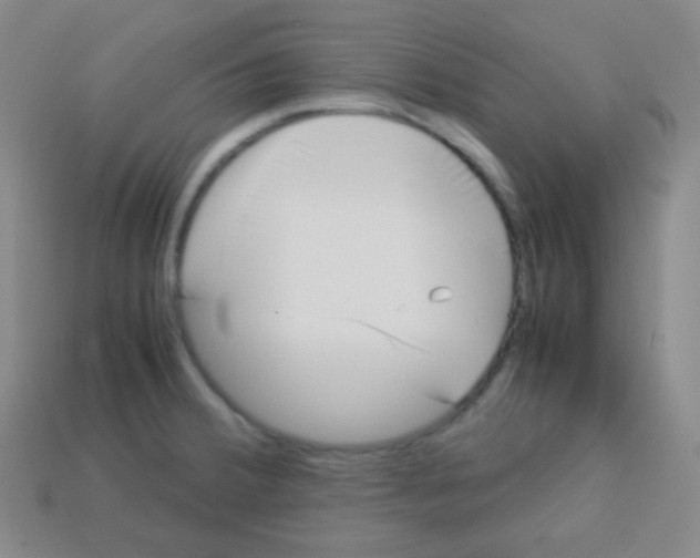 X0000113041380200910081202