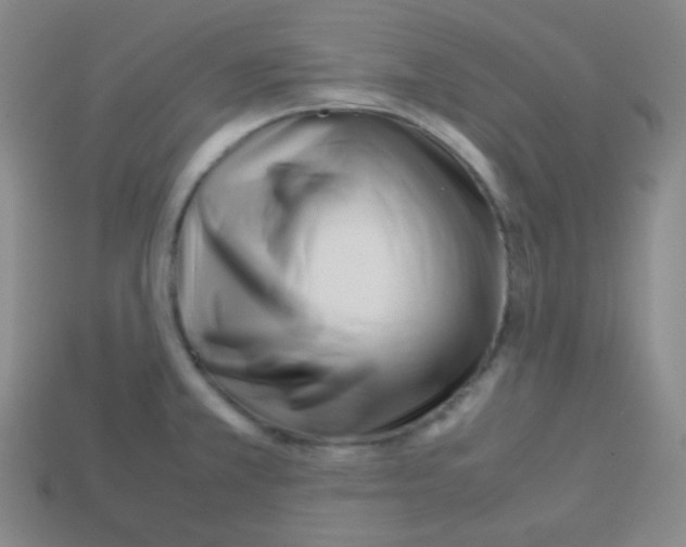 X0000113041381200910081202