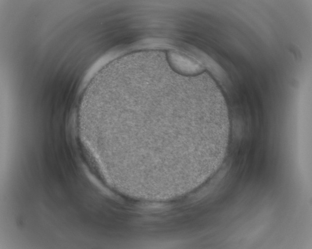 X0000113041382200910081202