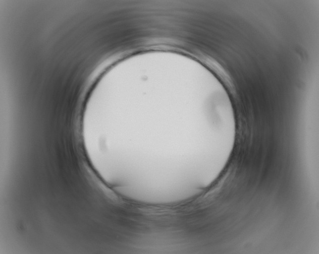 X0000113041384200910081202