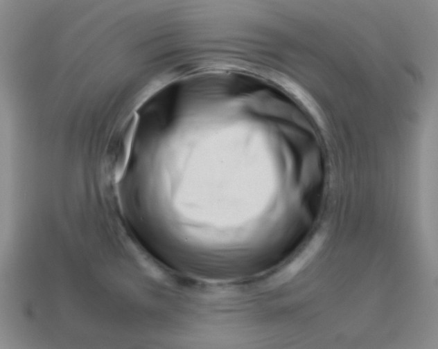 X0000113041385200910081202