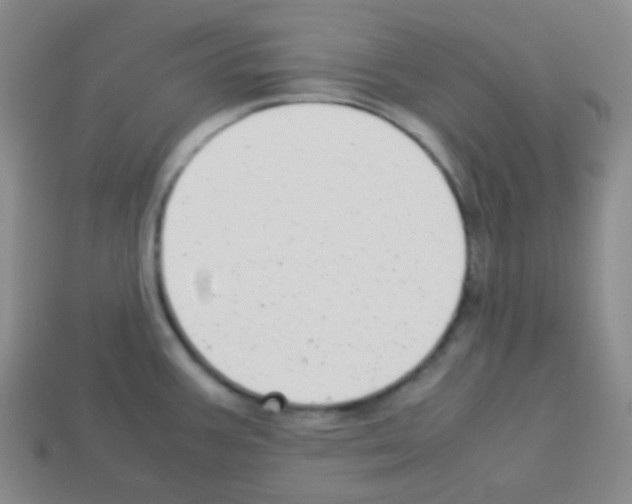 X0000113041387200910081202