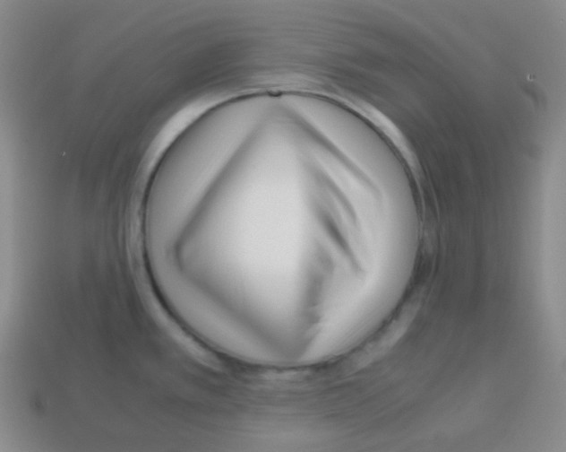 X0000113041389200910081202