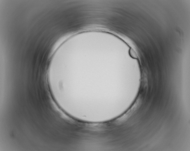 X0000113041390200910081202