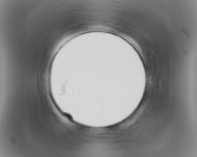 X0000113041391200910081202