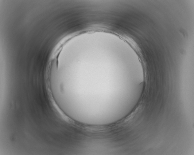 X0000113041392200910081202