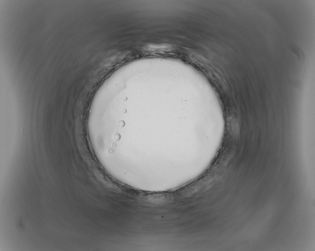 X0000113041393200910081201