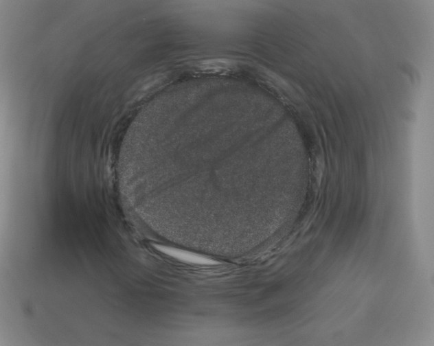 X0000113041394200910081201