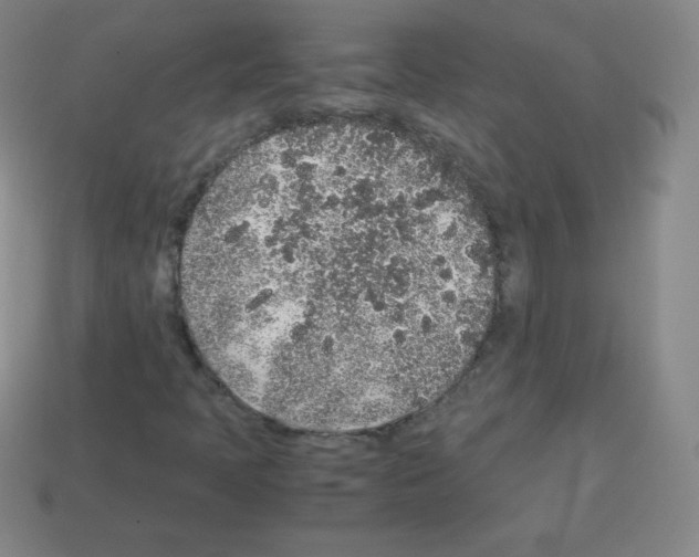 X0000113041397200910081201