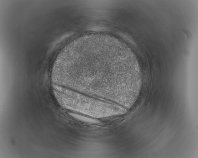 X0000113041398200910081201