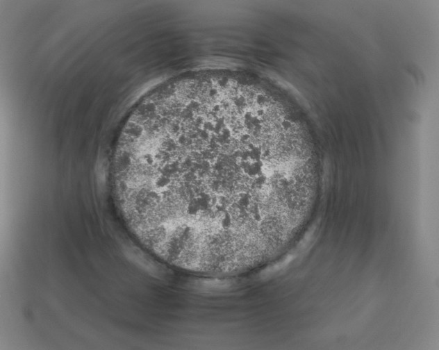 X0000113041401200910081201