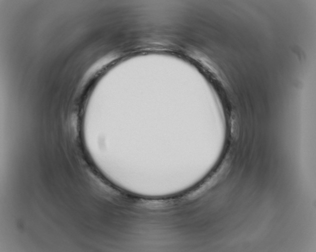 X0000113041402200910081202