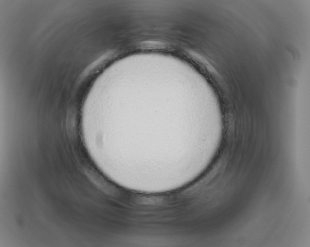 X0000113041403200910081202