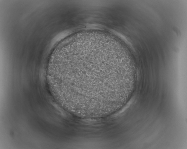 X0000113041405200910081202