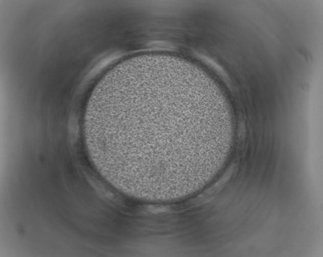 X0000113041407200910081202