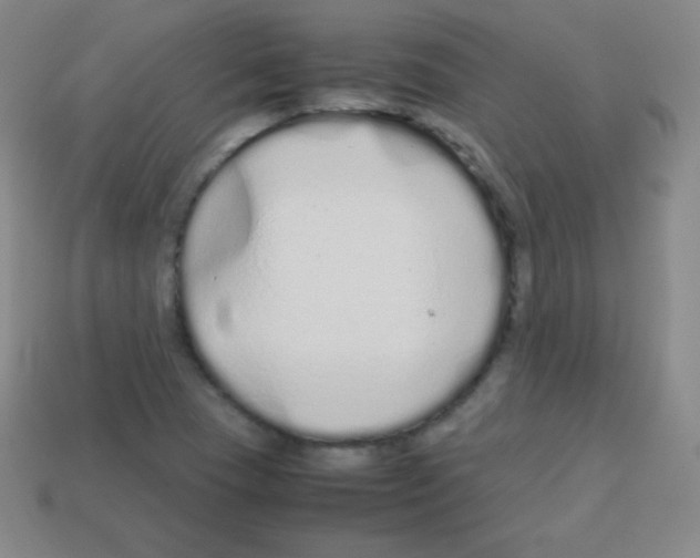 X0000113041409200910081202