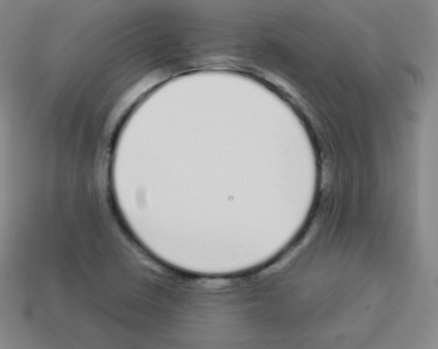 X0000113041410200910081202