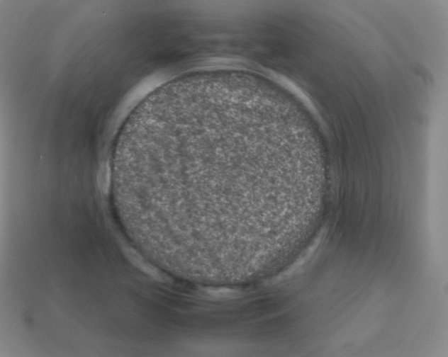 X0000113041413200910081202