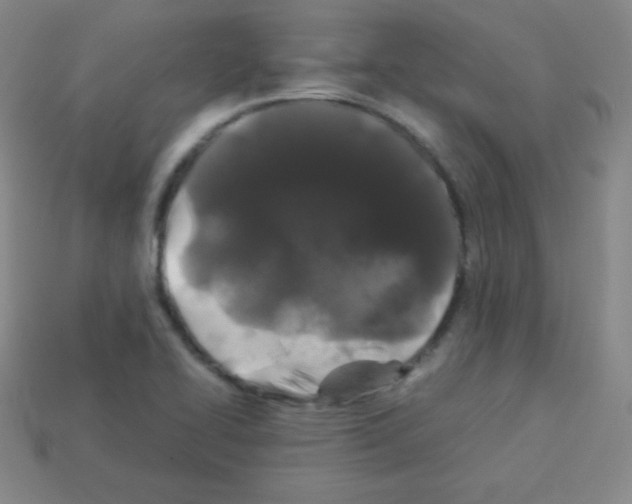 X0000113041414200910081202