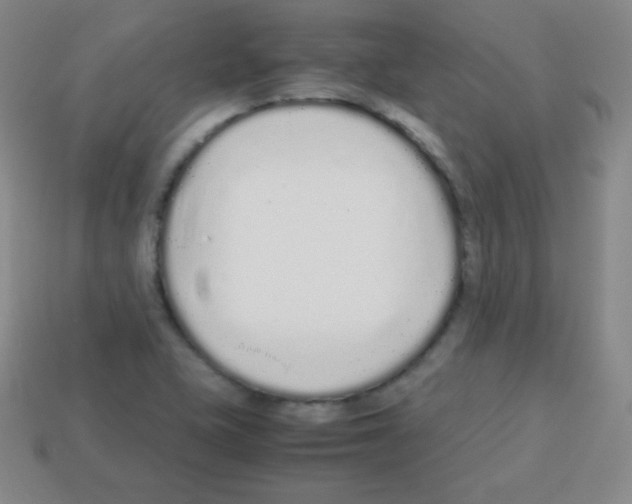 X0000113041415200910081202