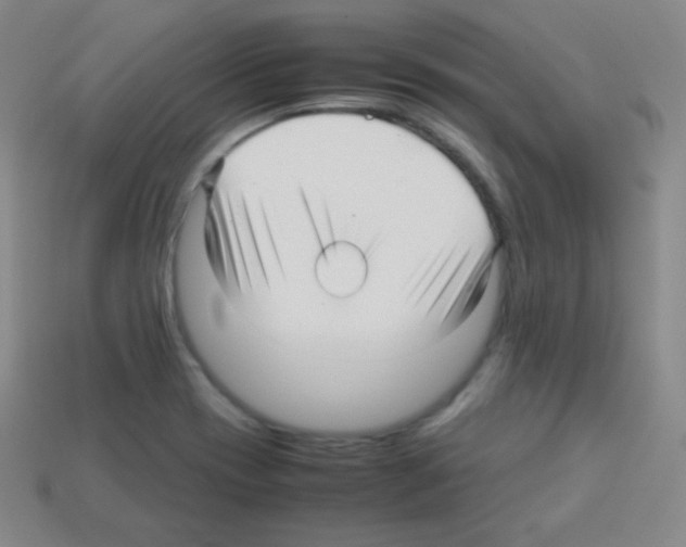 X0000113041417200910081202